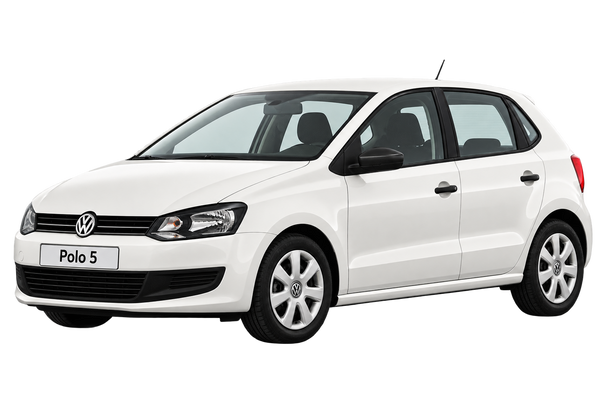 Volkswagen Polo 5 (2009-2017)